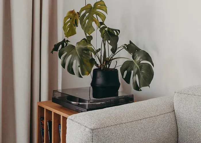 Moderne Порто-Веккьо